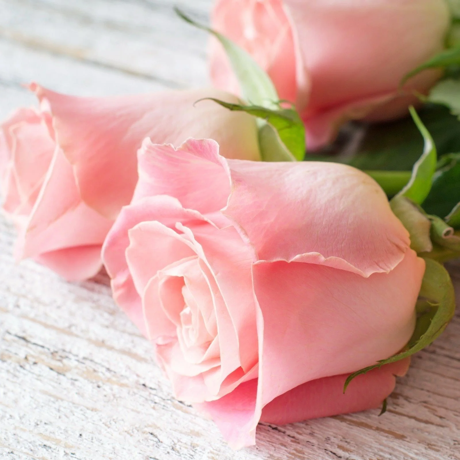 Sapone Liquido d'Aleppo ai Fiori di Rosa - Tadé - Image 2