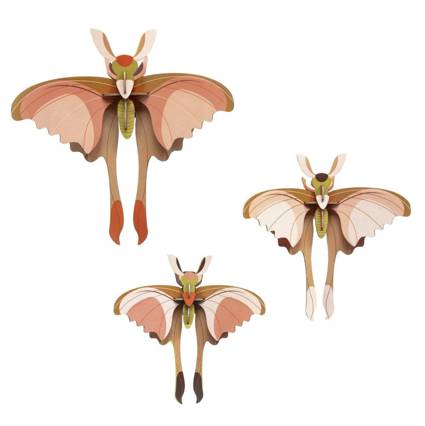 Set da 3 Mini Insetti Decorativi - Comet Butterflies - Image 3